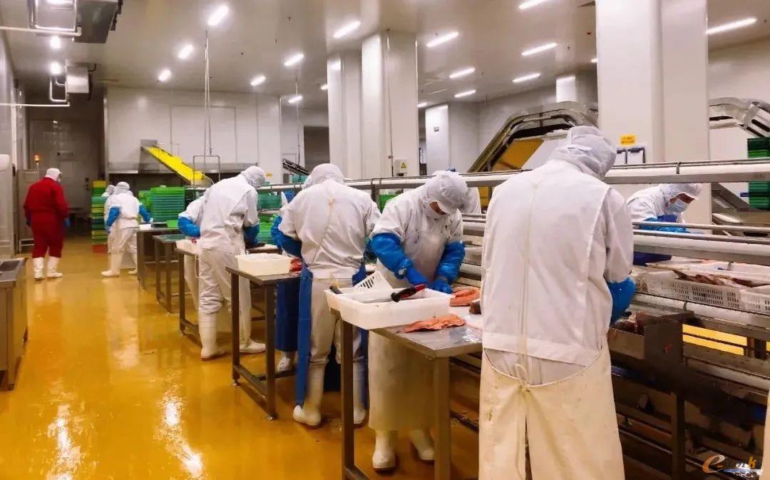 华为云联手瑞驰集团打造海洋食品智能产业基地园区